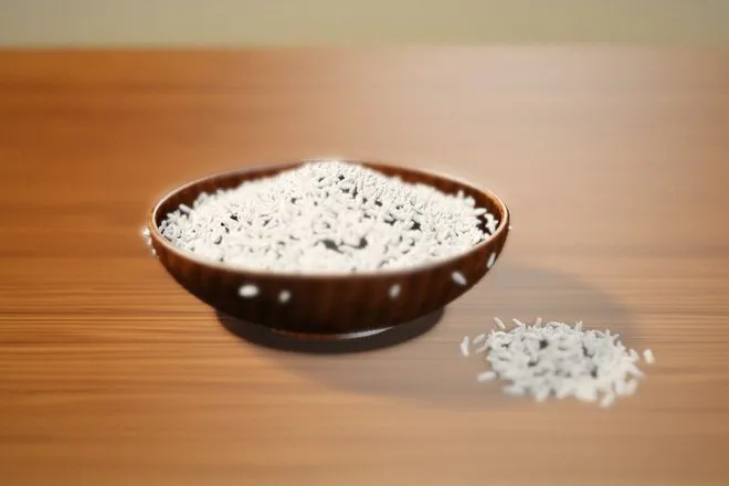 Rice