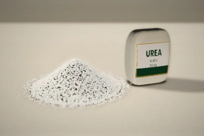 Urea