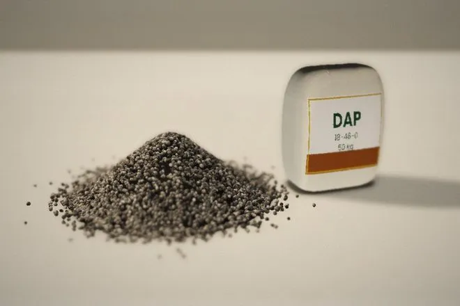 DAP — fertilizers exporter and supplier from India