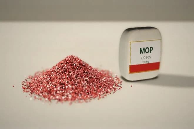 MOP — fertilizers exporter and supplier from India